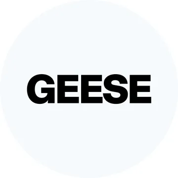 Geese, Tiny Desk Concert