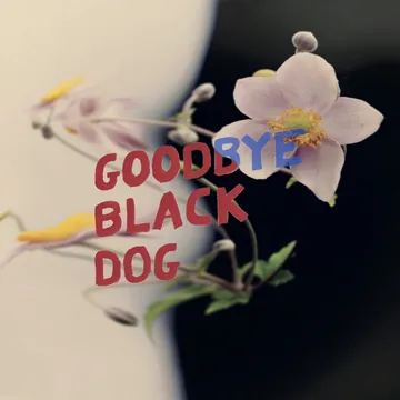 Purrs, Goodbye Black Dog