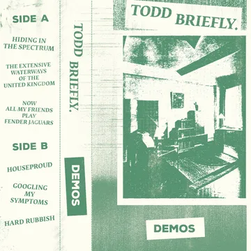 Todd Briefly, Demos