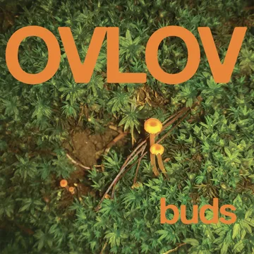 Ovlov, Buds