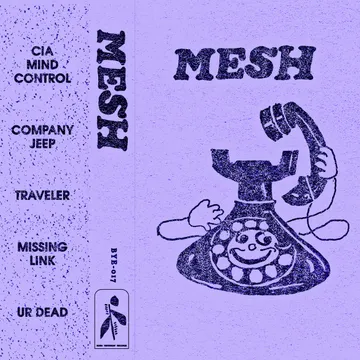 MESH, Mesh