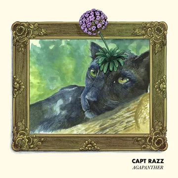 Capt Razz, Agapanther