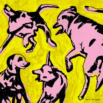 Paul Jacobs, Pink Dogs on the Green Grass