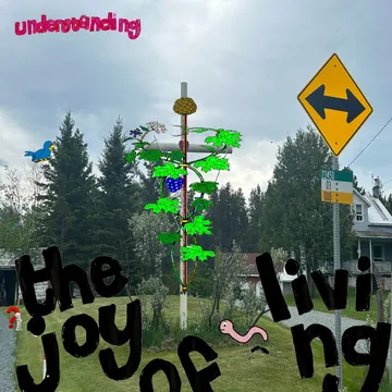Understanding, The Joy of Living