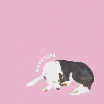 Hoorsees, Hoorsees