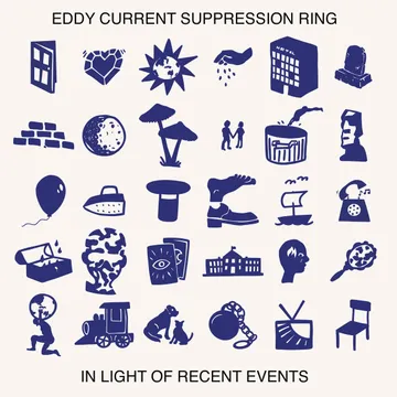 Eddy Current Suppression Ring, In Light Of Recent Events