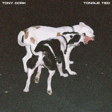 Tony Dork, Tongue Tied
