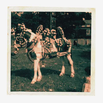 Courting, “Grand National“